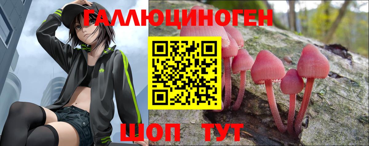 Заречный  Галлюциногенные грибы Cubensis  Вход с VPN  Галлюциногенные грибы Cubensis 